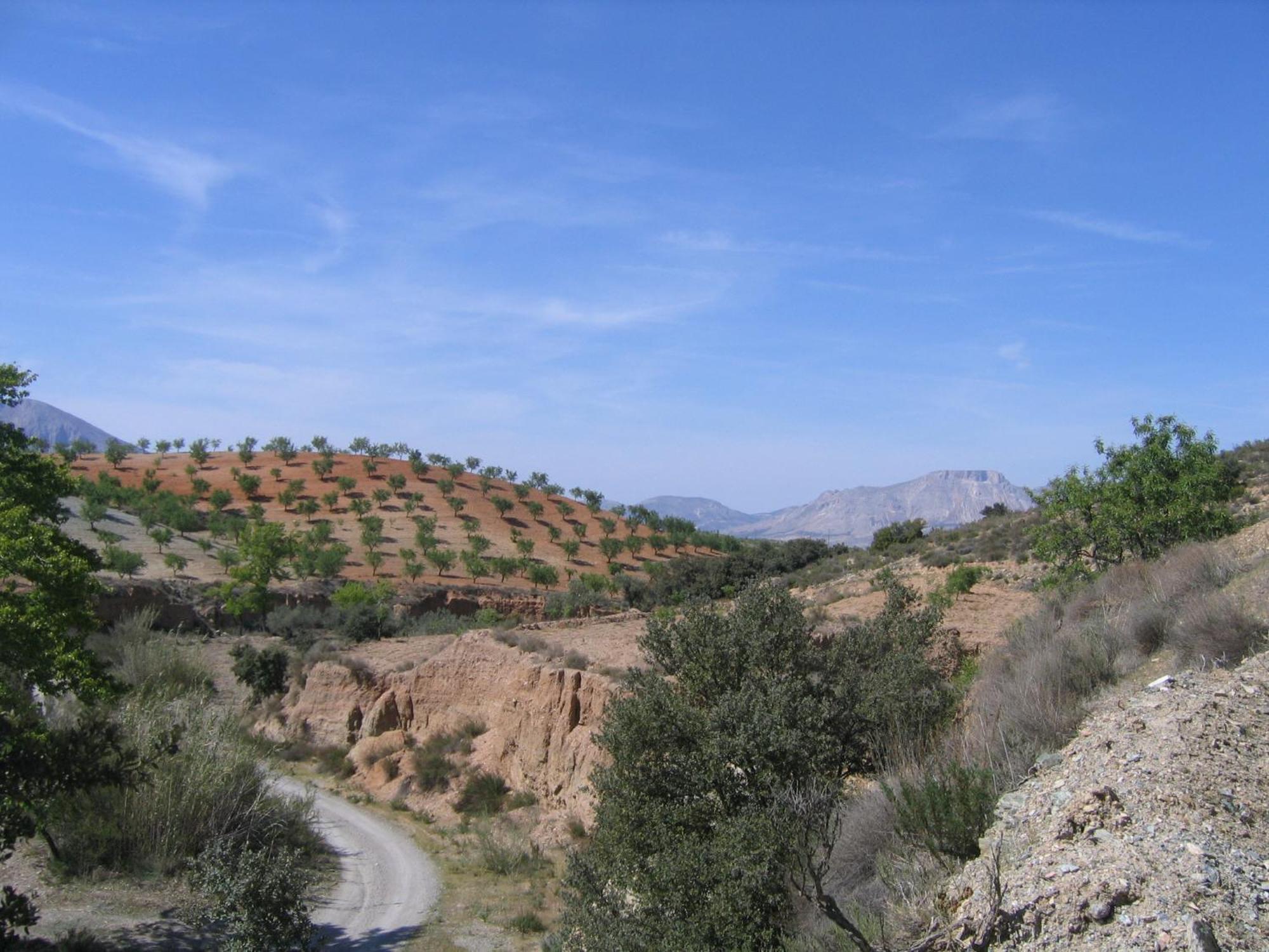 Cortijo La Estrella Appartement Vélez Rubio Buitenkant foto