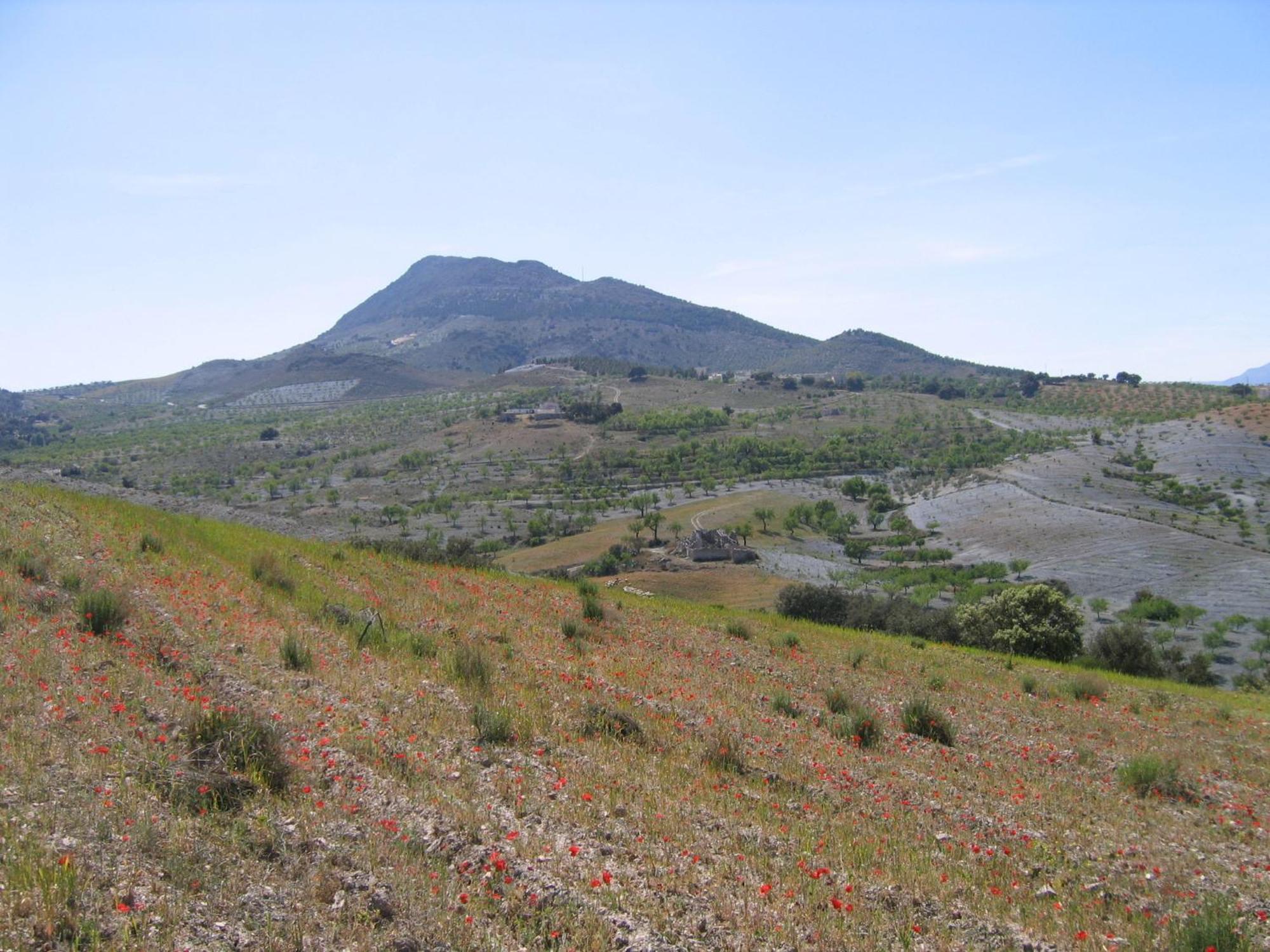 Cortijo La Estrella Appartement Vélez Rubio Buitenkant foto