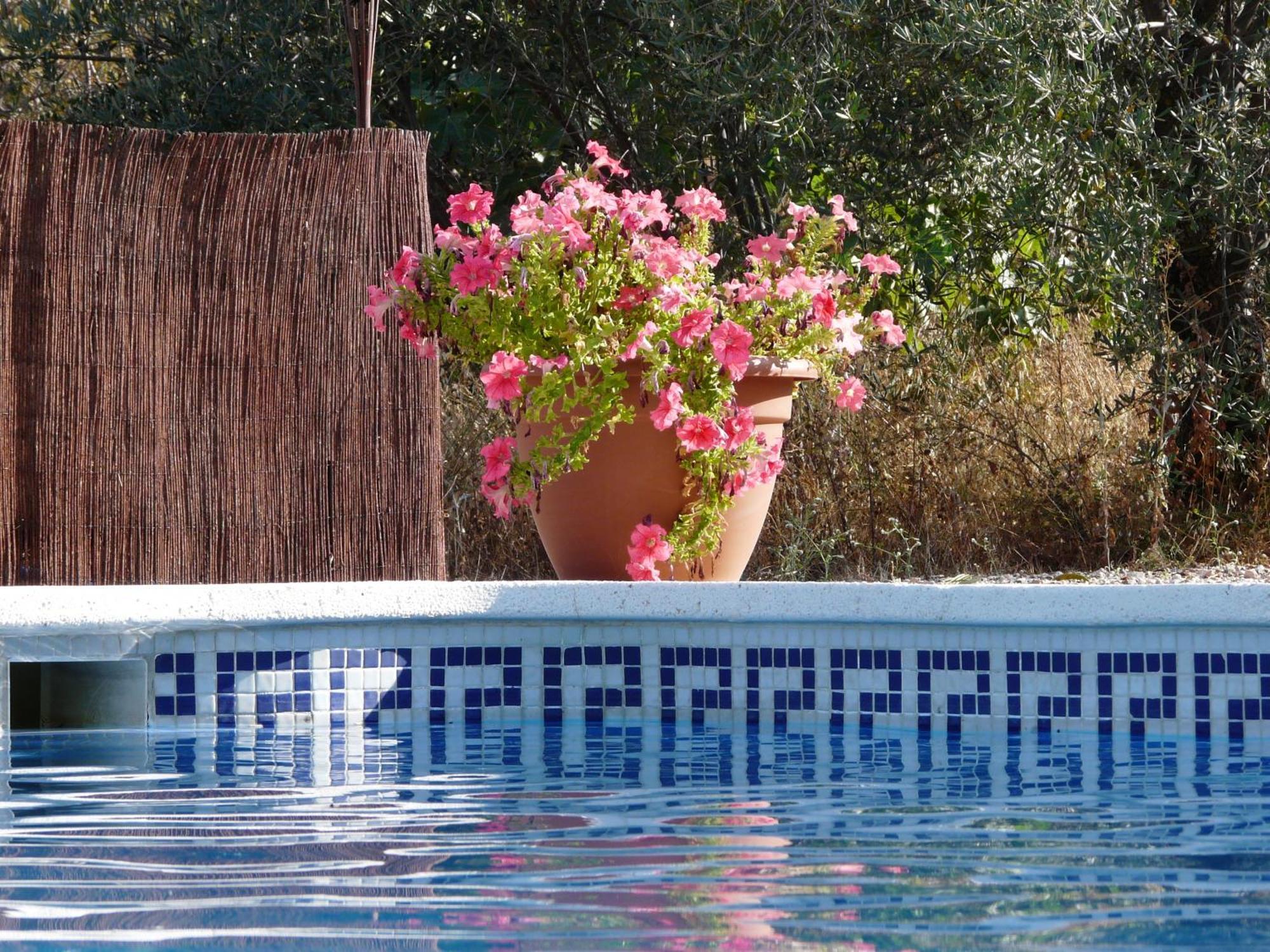 Cortijo La Estrella Appartement Vélez Rubio Buitenkant foto
