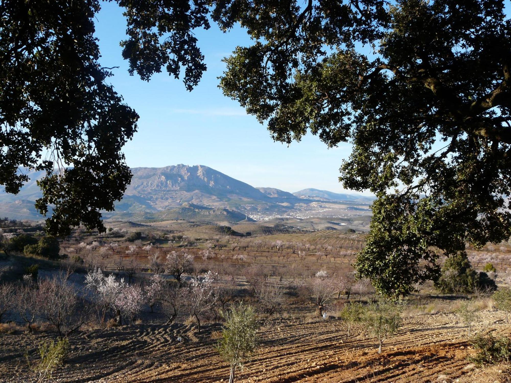 Cortijo La Estrella Appartement Vélez Rubio Buitenkant foto