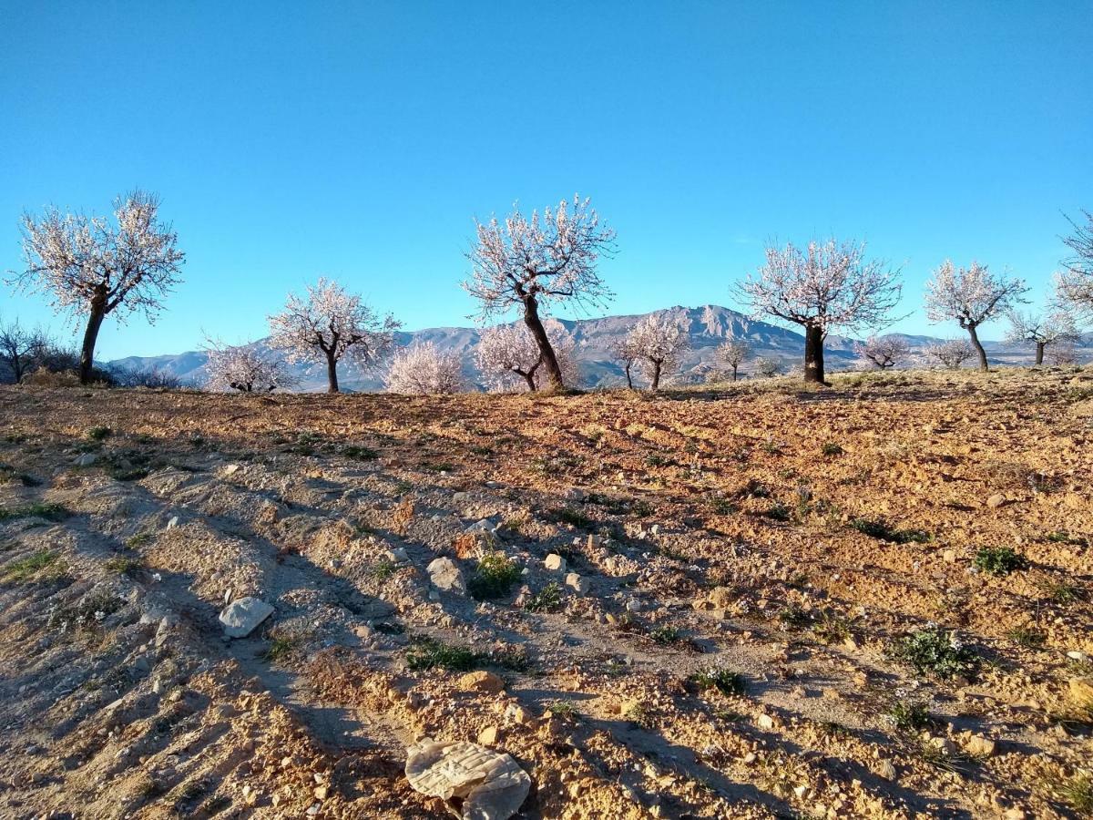 Cortijo La Estrella Appartement Vélez Rubio Buitenkant foto